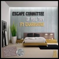 If You Try (David Glass Remix) [feat. Charmaine / David Glass]