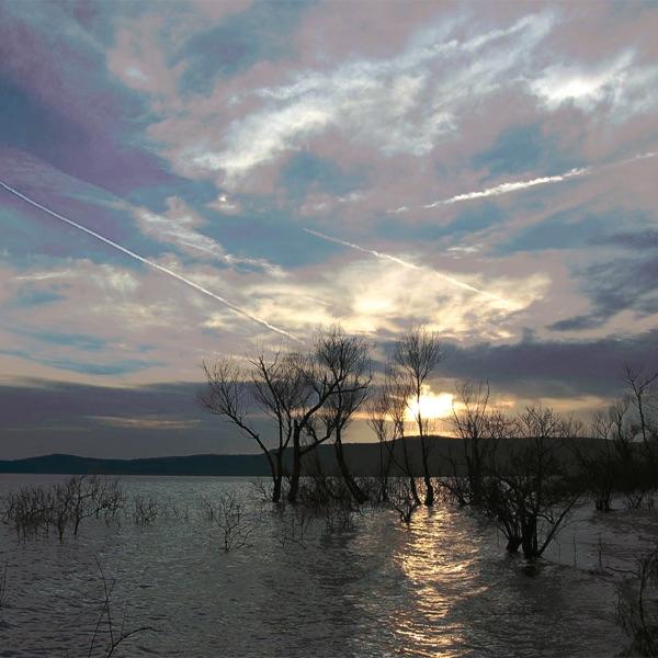 Water's Edge