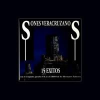 Conjunto Jarocho Villa Lerdo De Los Hnos. Talavera
