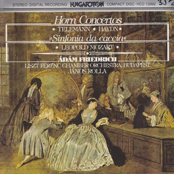 Symphony in G major for Four Horns and Orchestra - Sinfonia da caccia: II. Andante piu tosto un poco allegretto