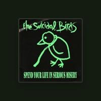 The Suicidal Birds