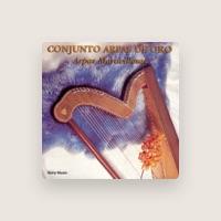 Conjunto Arpas De Oro