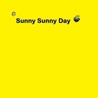 Sunny Sunny Day
