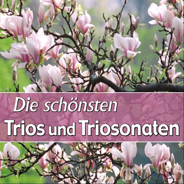 Trio No. 6 in A Major - Allegro gustoso