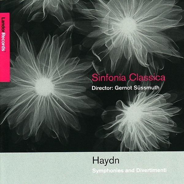 Symphony No. 49 in F Minor "La Passione": III. Menuetto