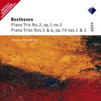 Piano Trio No. 6 in E-Flat Major, Op. 70 No. 2: IV. Finale, Allegro