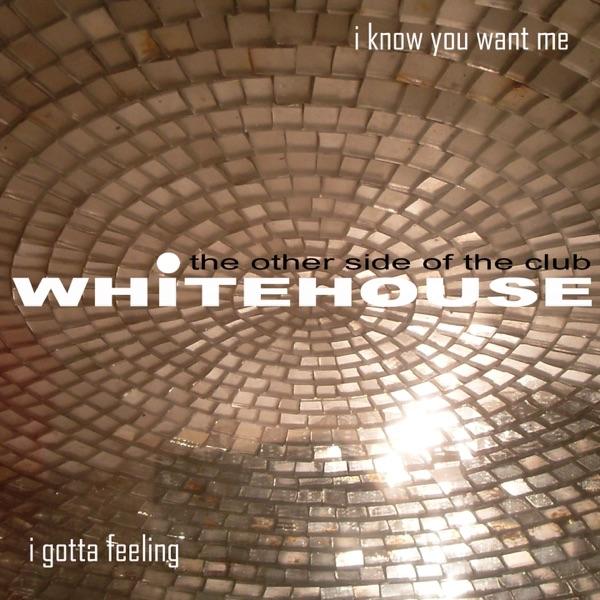 I Know You Want Me