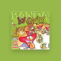 Banda Los Gaujos