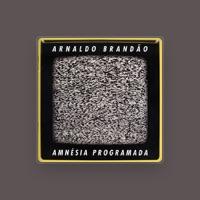 Arnaldo Brandão