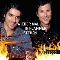 Wieder Mal In Flammen Steh´n
