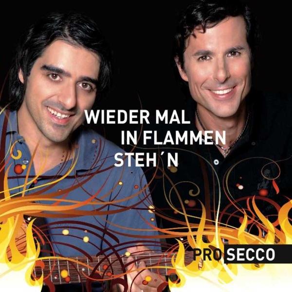 Wieder Mal In Flammen Steh´n