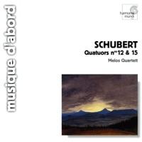 String Quartet No. 15 in G Major, Op. 161, D. 887: I. Allegro Molto Moderato