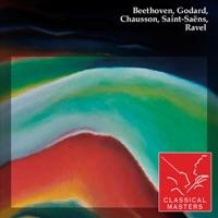 Introduction and Rondo-capriccioso, Op. 28