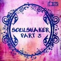 Fauk Fun (Original Mix) [Original Mix]