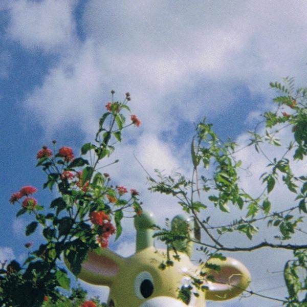 My Cloud