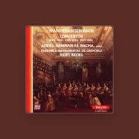 Ensemble Instrumental de Grenoble