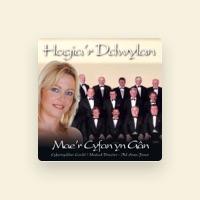 Hogia'r Ddwylan