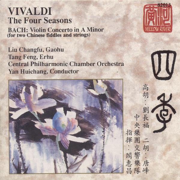 Violin Concerto In A Minor: II. Andante