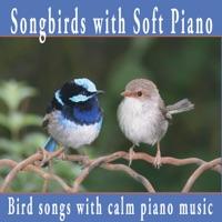 Natures Music