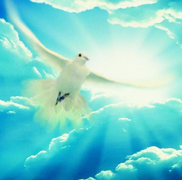 Lux aeterna (Choral Version of "Nimrod" from Enigma Variations, Op. 36)