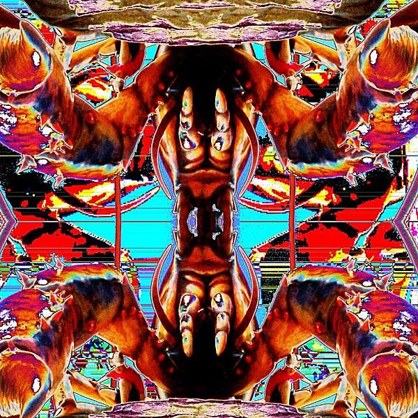 Dubstep Turkey