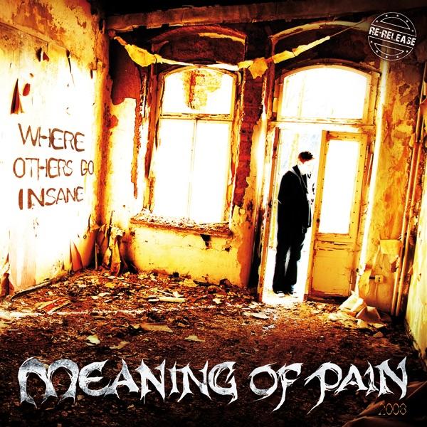 Meaning of Pain