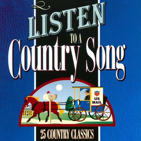 I Guess I'll Never Learn (Re-Recorded)