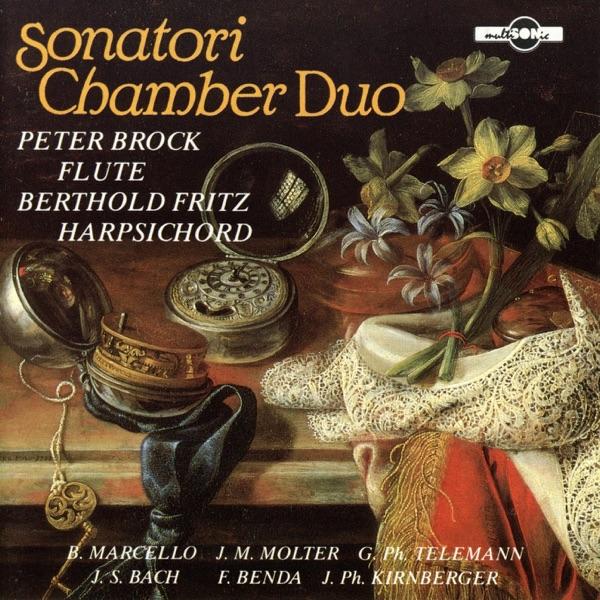 Sonata in G Major for Flute and Basso Continuo: II. Allegro