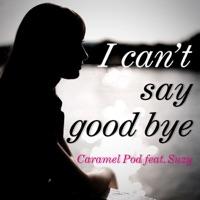 I can't say good bye (feat. Suzy)