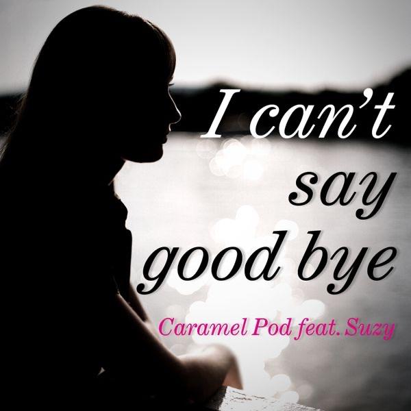 I can't say good bye (feat. Suzy)