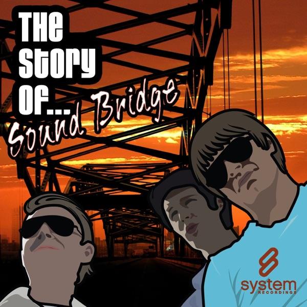 The Story Of... (Heavinz Remix)
