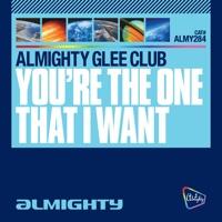 You're the One That I Want (Almighty Definitive Dub)