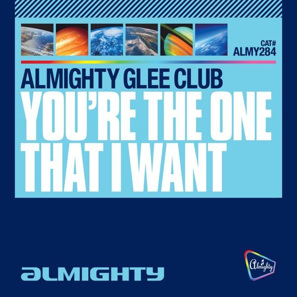 You're the One That I Want (Almighty Definitive Dub)
