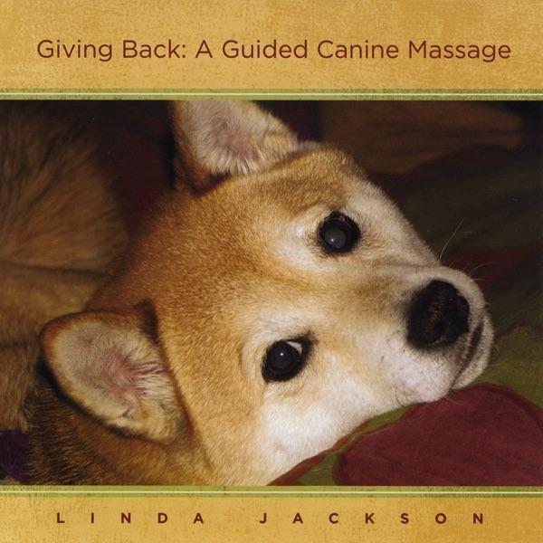 Guided Massage Routine