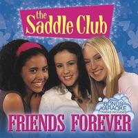 Perfect Day (Karaoke Version)