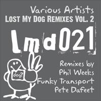 Swimming Under the Ice (Funky Transport's Contact High Remix)