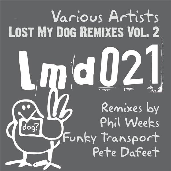 Swimming Under the Ice (Funky Transport's Contact High Remix)