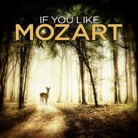 Sonata in A Minor for Flute and Basso continuo, Wq. 128: II. Allegro