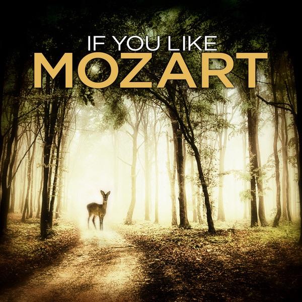 Concerto No. 2 in D Major for Cello and Orchestra, G. 479: I. Allegro
