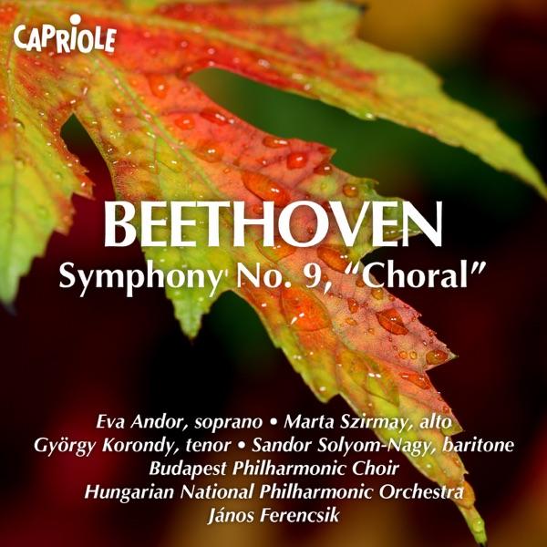 Symphony No. 9 in D minor, Op. 125, "Choral": IV. Finale: Presto - Allegro assai