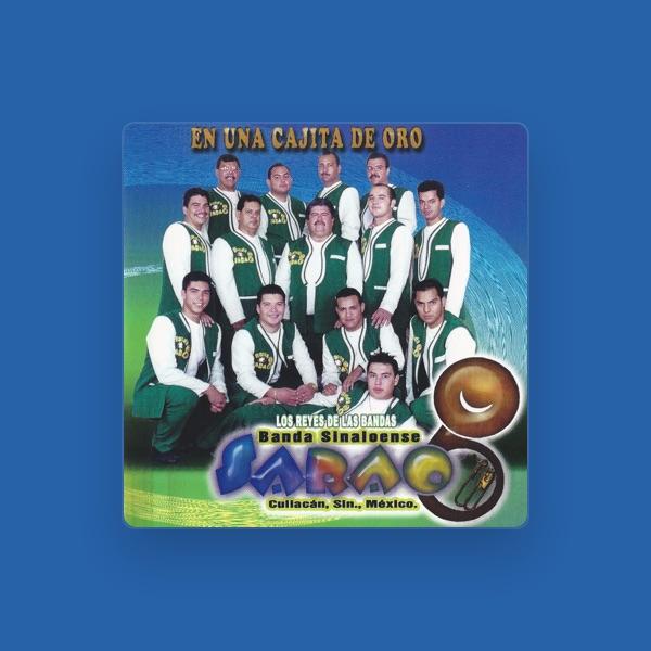 Banda Sinaloense Sarao