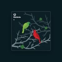 Rairbirds