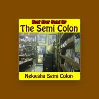 The Semi Colon