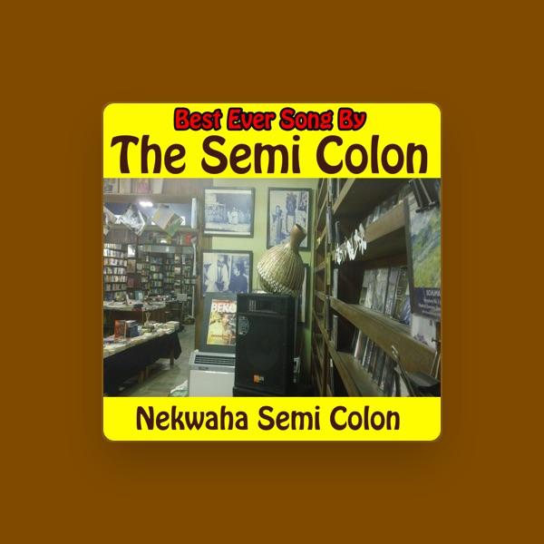 The Semi Colon