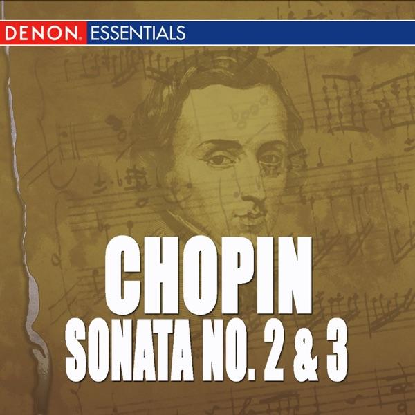 Sonata for Piano No. 3 In B Minor, Op. 35: I. Allegro Maestoso