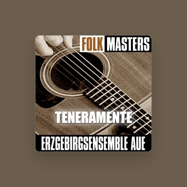 Erzgebirgsensemble Aue
