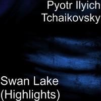 Swan Lake, Op. 20, Act IV: No. 29, Scene Finale. Allegro agitato - Alla breve - Moderato e maestoso