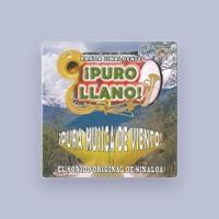 Banda Sinaloense Puro LLano