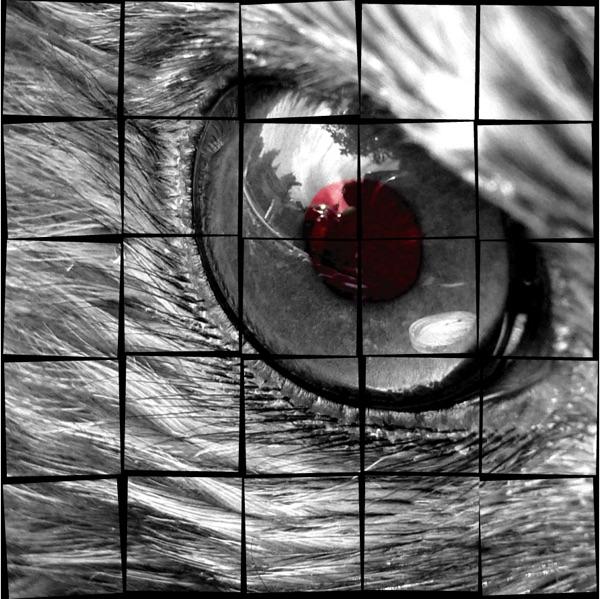 eyes