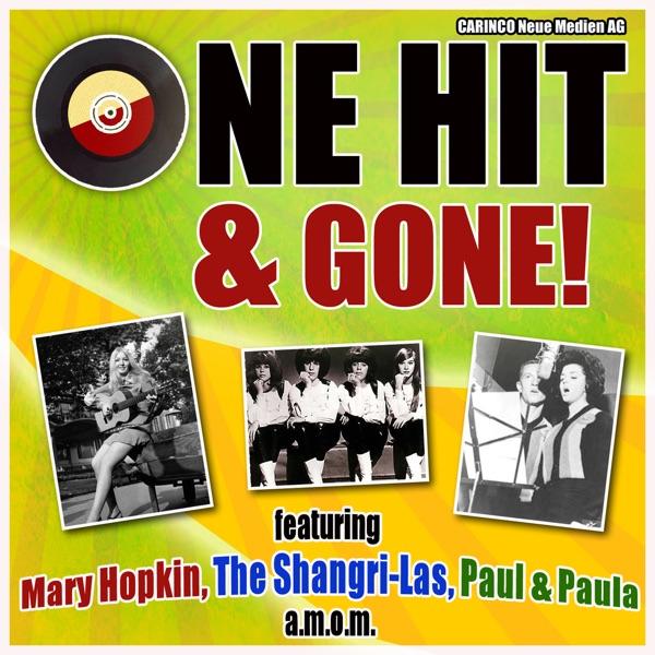 Hang On Sloopy (Re-recorded)